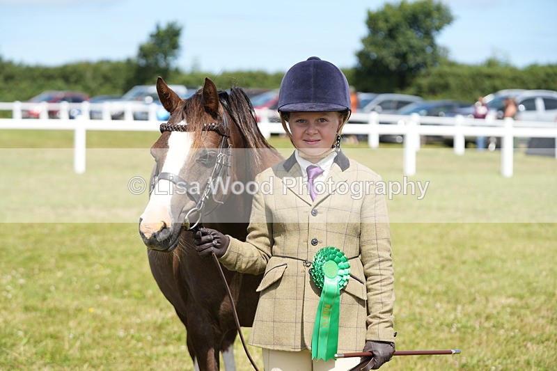 DSC05633 - Class 50: NPS M&M 4 years and over Small Breeds