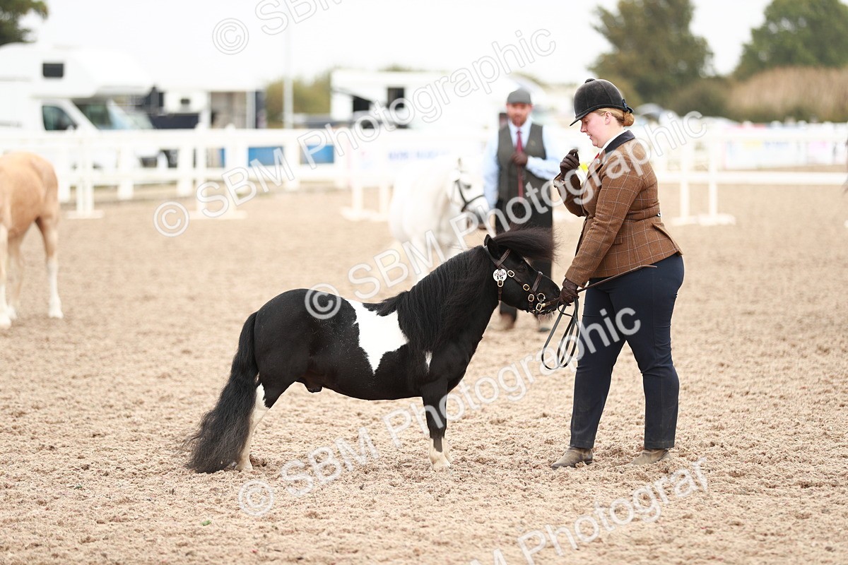 SBM_12546 - Class 207 IH M&M