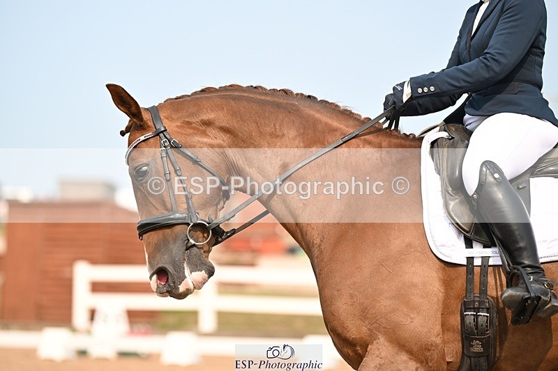 250816-155453-06303 - 026-Pippa.MorganDavinci.Vl