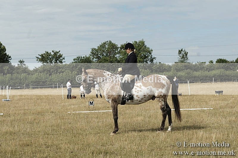 _PJP5714 - Dressage Classes BVRC Show 2018