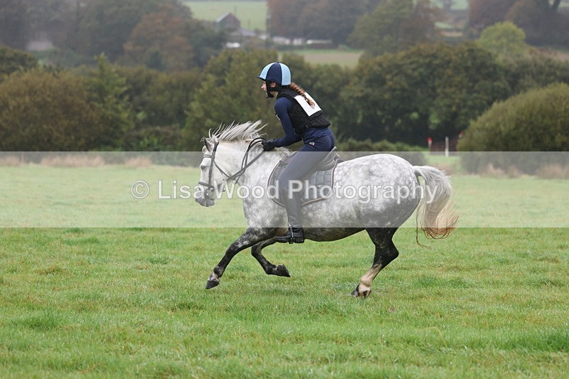 3E7A0791 - Class 1: 65cm: Rails