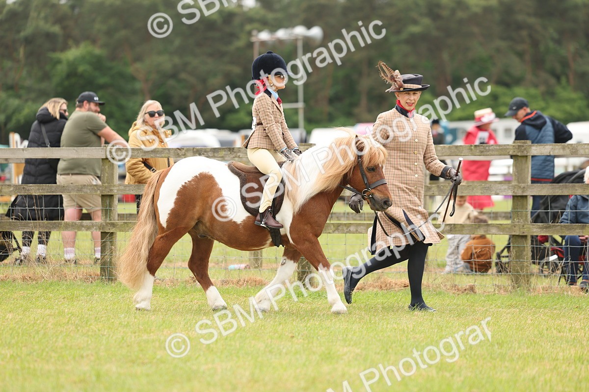 SBM_06689 - Class 74-75 - M&M Lead Rein and First Ridden Pony
