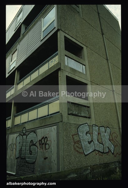 Ad09 pig elk - Graffiti Galery (2)