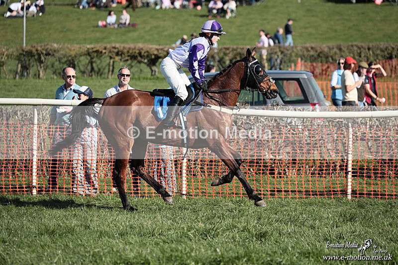 PtP 210326 638 - VWH Cirencester Races 21/03/26
