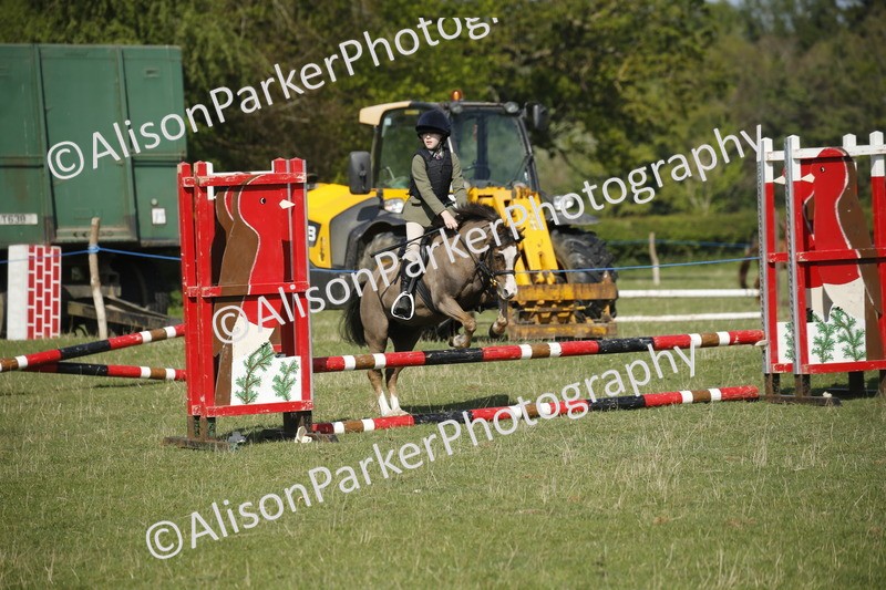 20250427-0414 - Class 12 - Rookie Jumping 40cm