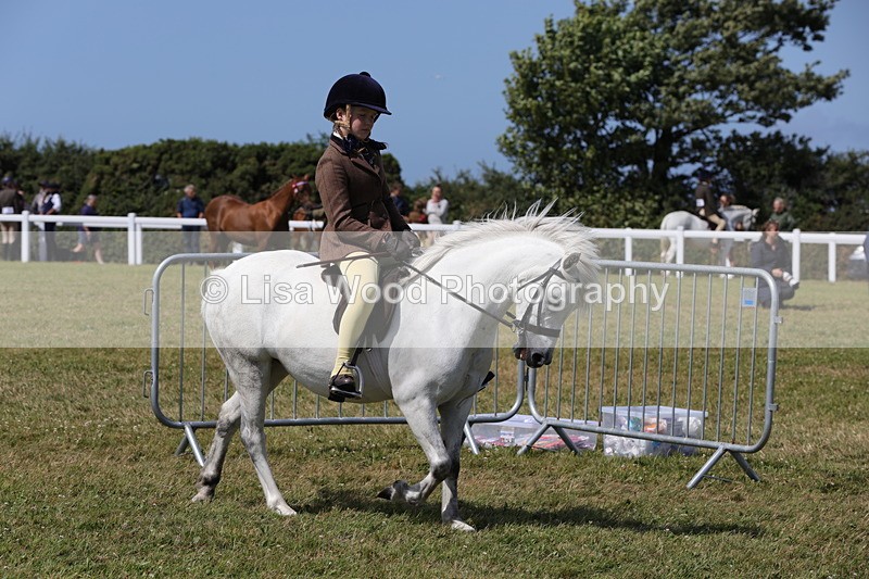 1X9A5329 - Class 37: NPS M&M First Ridden