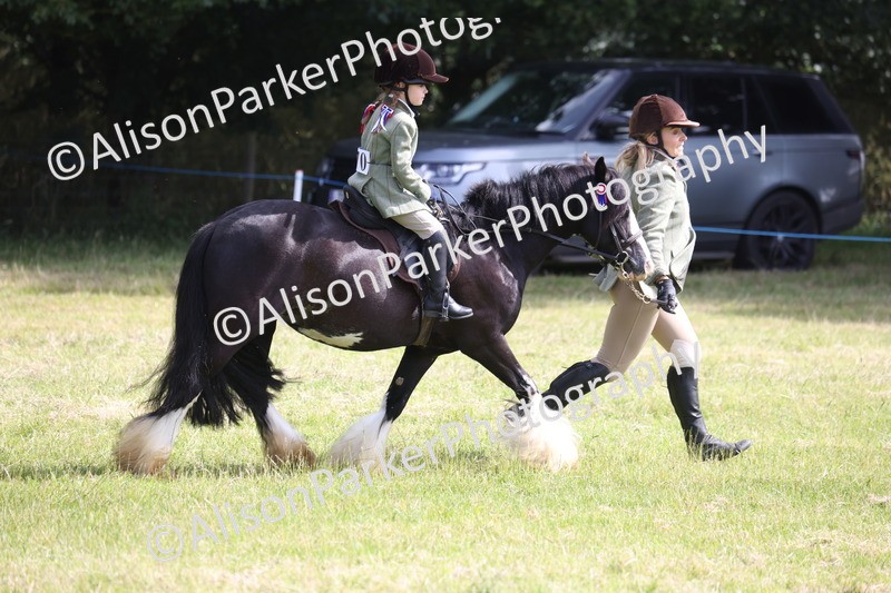 20260614-0635 - Class 20 - Beginners Working Hunter Pony