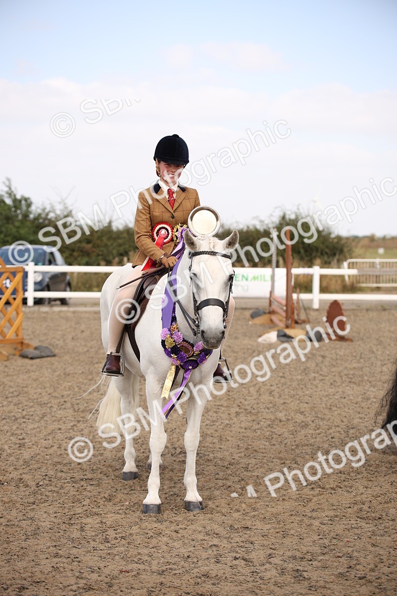 SBM_15076 - Class 408a - Working Veteran 70cm (15-19