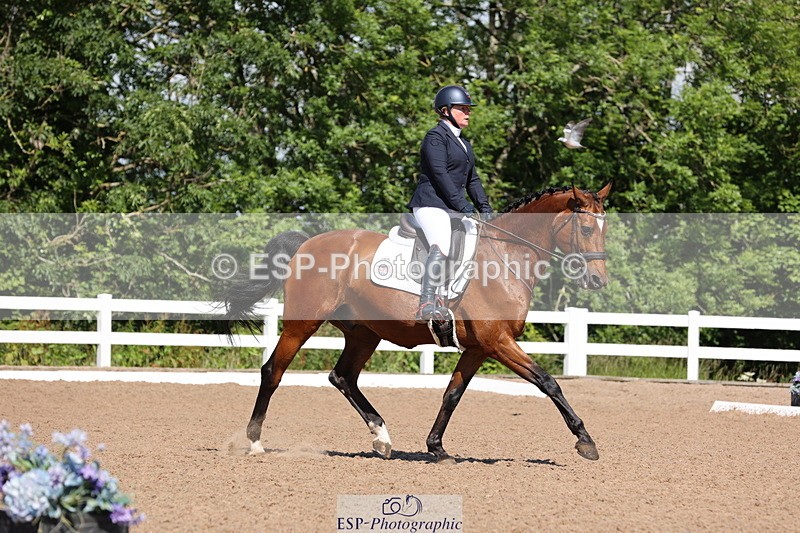 240621A-103224-00178 - Cls 6 BD Music Novice