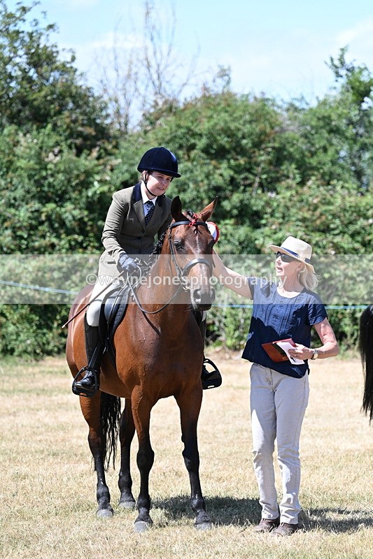WJ7_3159 - Class 7 Riding Club Show Horse