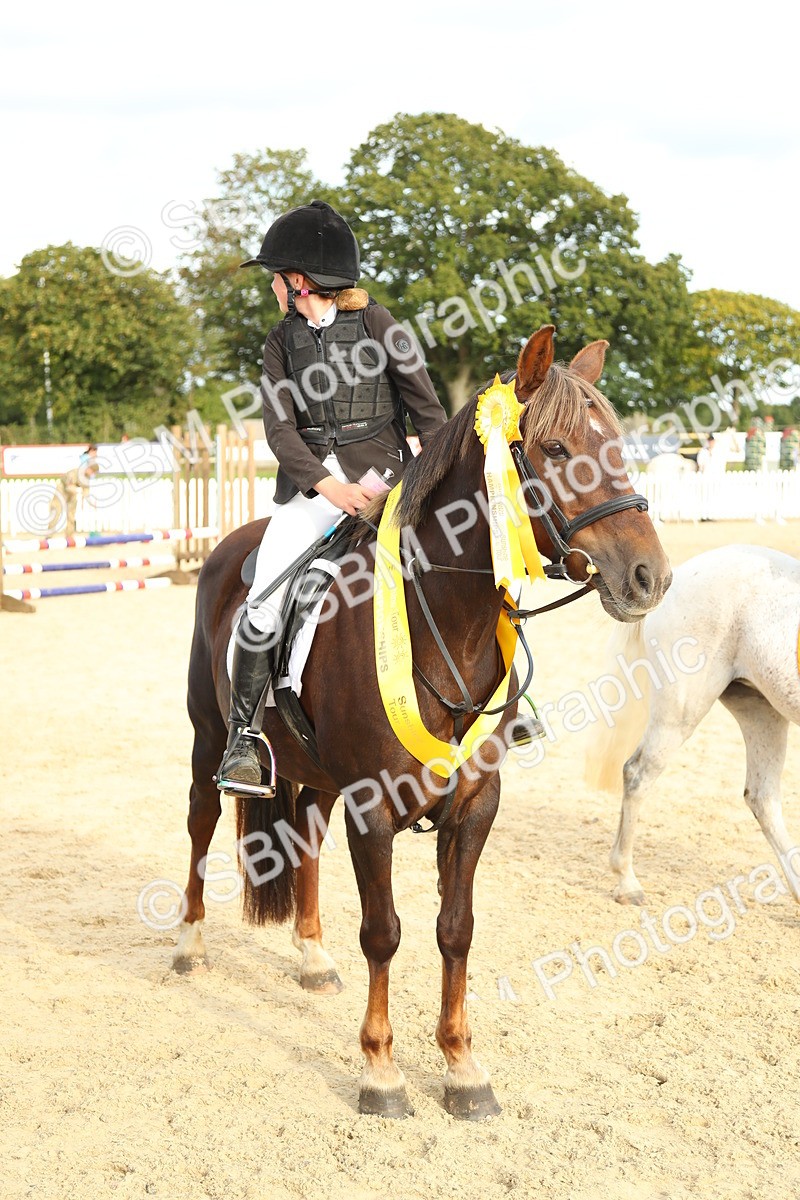 SBM_51732 - J7 - Junior Pony 60cm Championship