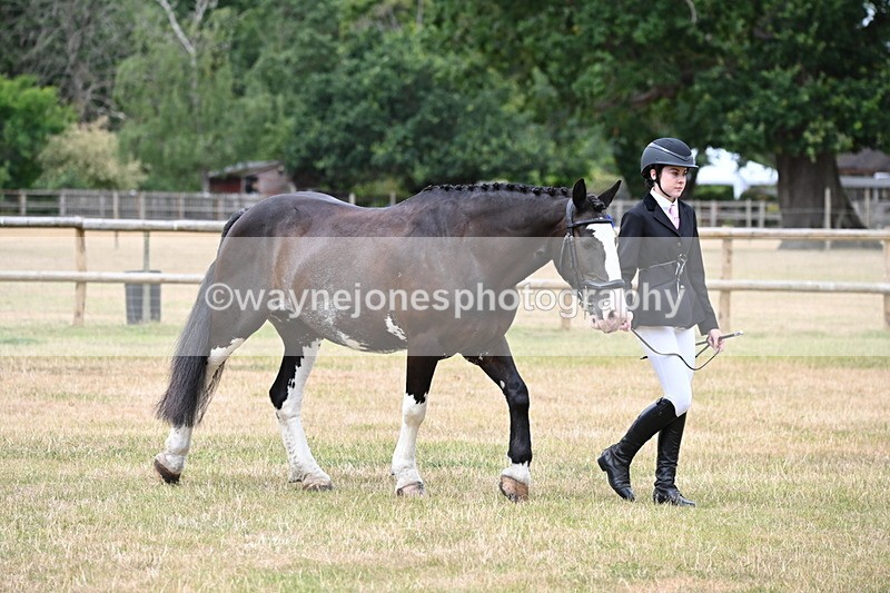 WJ6_4553 - Class 10 Coloured In-hand