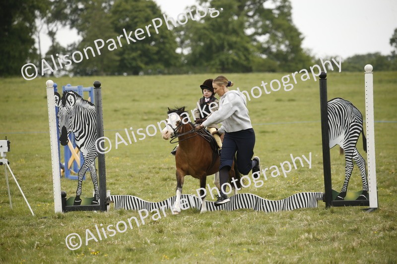 20250517-0139 - Class 1 - 30cm On Lead Rein