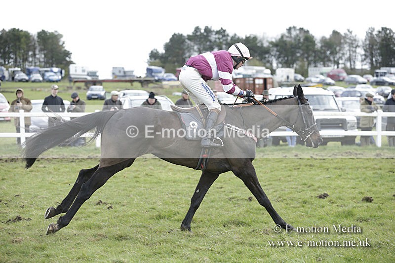 PtP 150320 0612 - New Forest Point-to-Point Larkhill 15/03/20