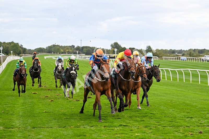 021024-Race 5-Homer Stokes-9544 - Race 5