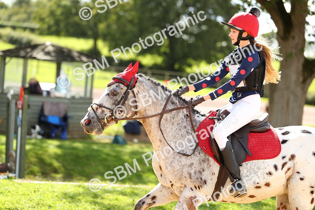 SBM_07580 - E4 Eventers Challenge 80cm Open