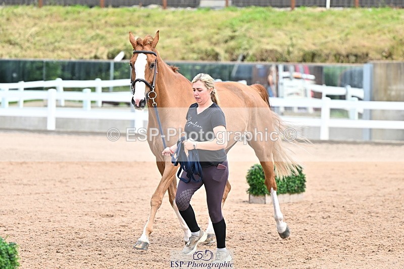 240718A-105324-01946 - Trot Up 2pm to 3pm - This folder is not in time order