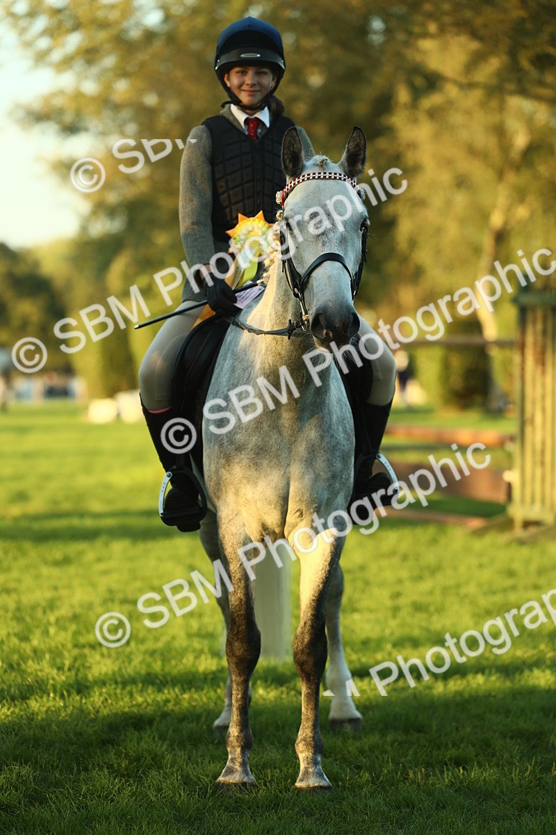 SBM_56541 - S14 - Riding Club Horse