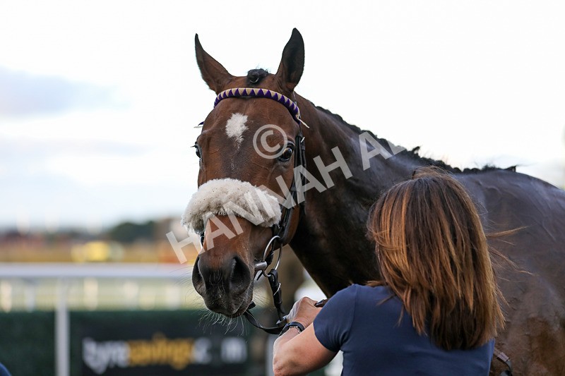 180624-Race 5-Makalu-8235 - Race 5