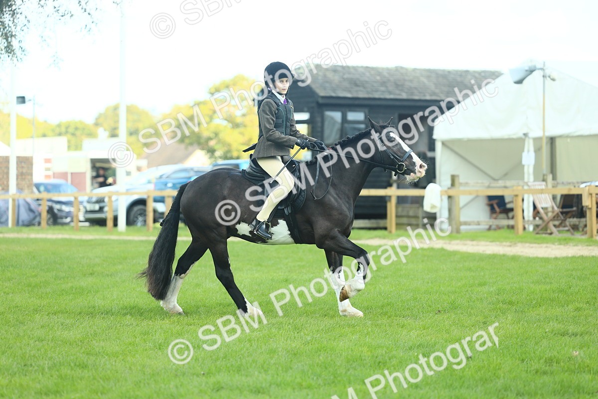 SBM_42009 - S29 - Novice & Newcomers Working Hunter Pony