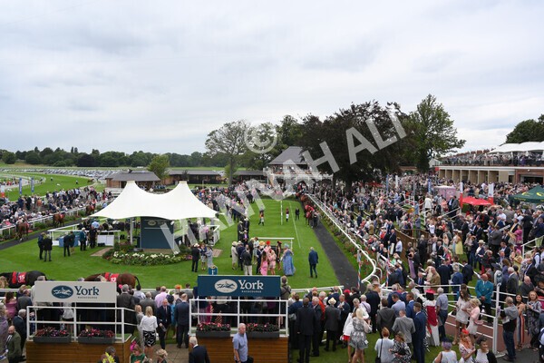 yr19082021r2-5 - Race 2 2.25pm Goffs UK Premier Yearling Stakes