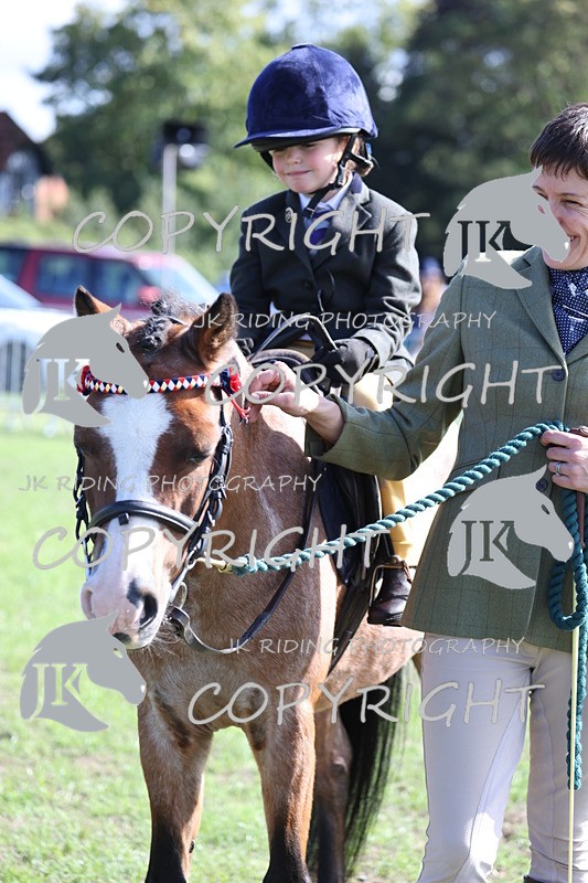 APP_3893 - Class 13 Lead rein