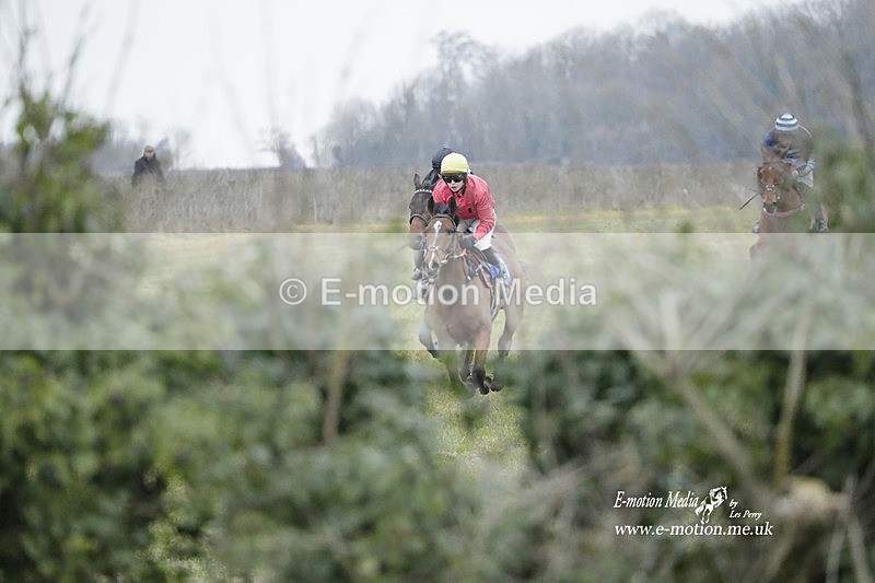 PtP 040323 813 - Duke of Beauforts Hunt Point-to-Point Didmarton 04/03/23