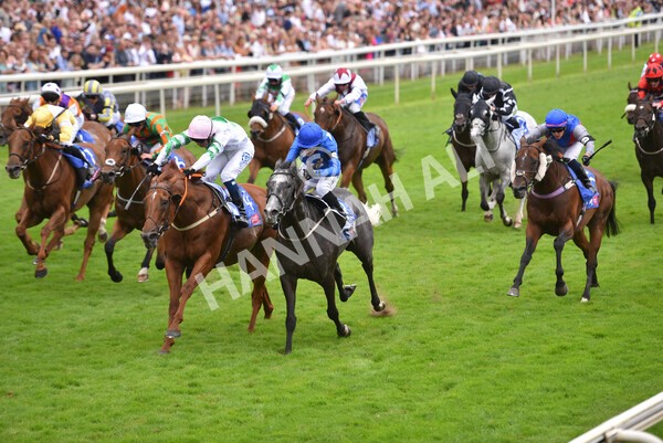 yr24072021r2-16 - Race 2 2.40pm Sky Bet Dash