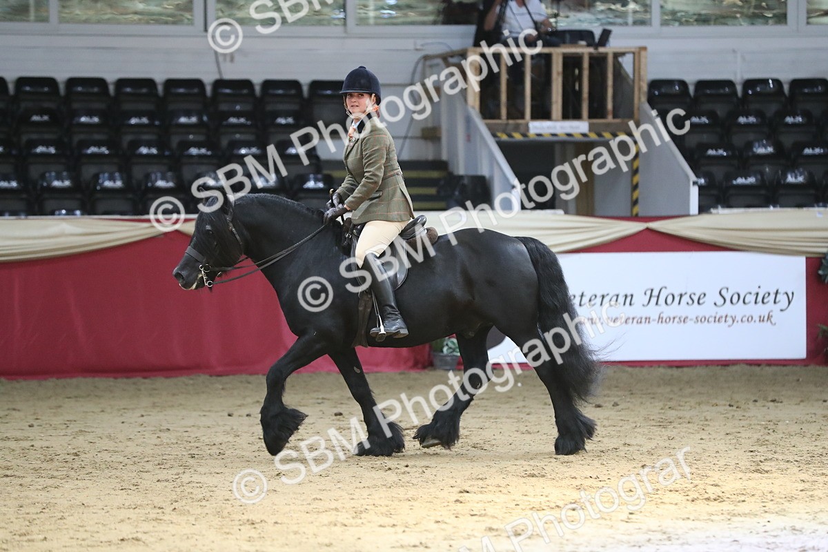 SBM_08390 - Class 11R Regional Ridden Veteran