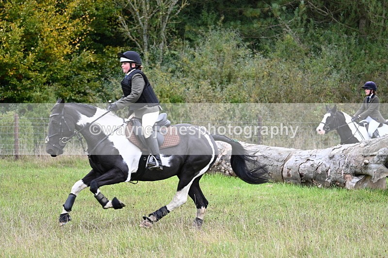 WJ7_3781 - Camera 1 Line 1