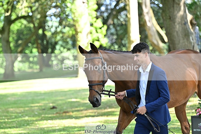 250521A-162050-01077 - C-216-Harrison.Chart-MY.KIND.OF.LADY