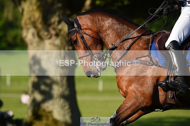 230527-182428-13831 - 180-GUEULE_DE_REVE-Arthur_Duffort-XC