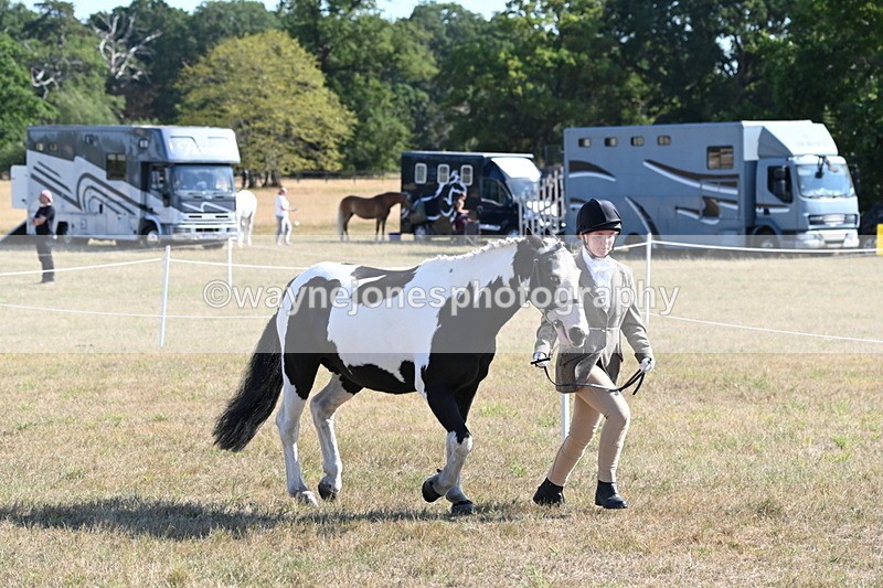 WJ6_7224 - Class 33 Rescue Pony