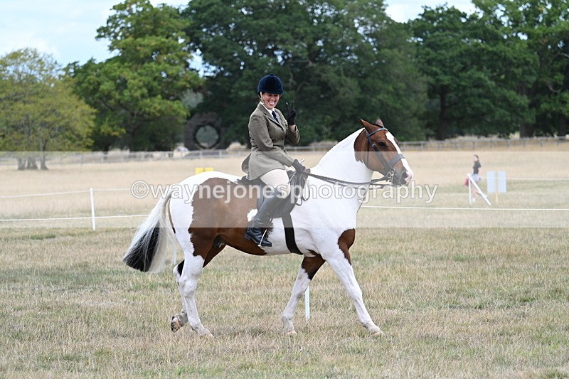 WJ7_4715 - Class 12 Ridden Cob