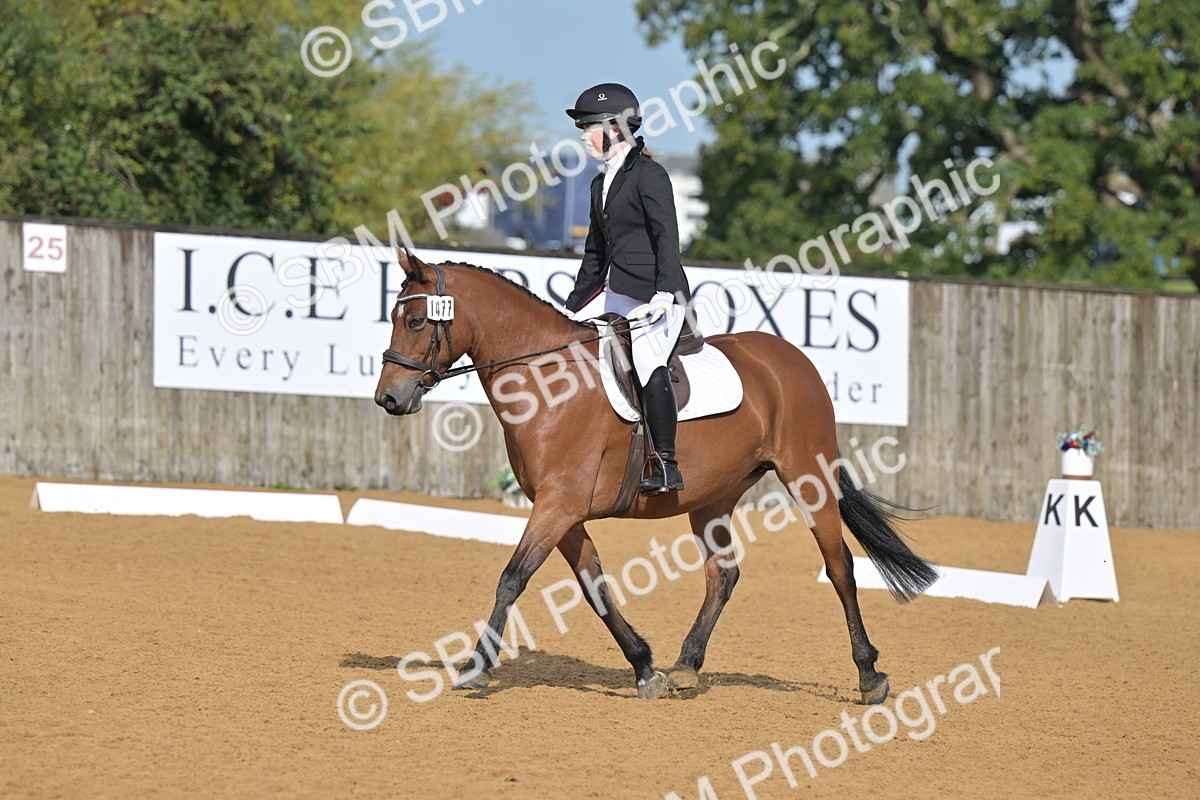 SBM_03686 - D2 - Small Tour Championship Intro 2
