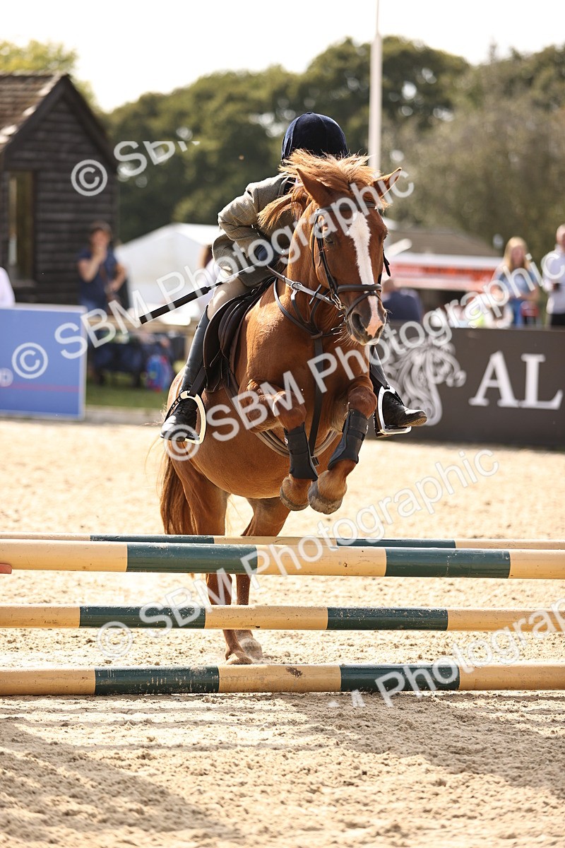 SBM_69537 - J13 - Junior Pony 60cm Championship