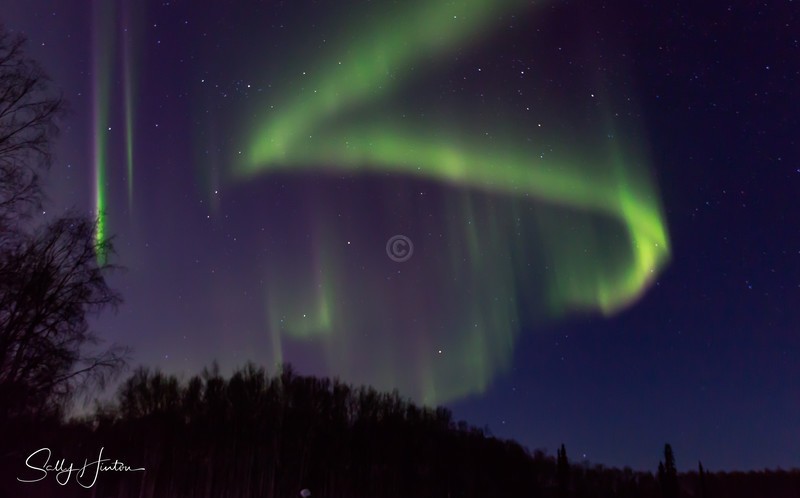 Aurora Fairbanks 11