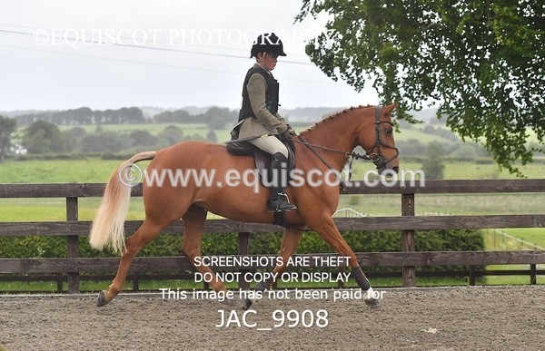 JAC_9908 - CLASS 3 Intermediate Working Hunter (0.70m - 0.85m)