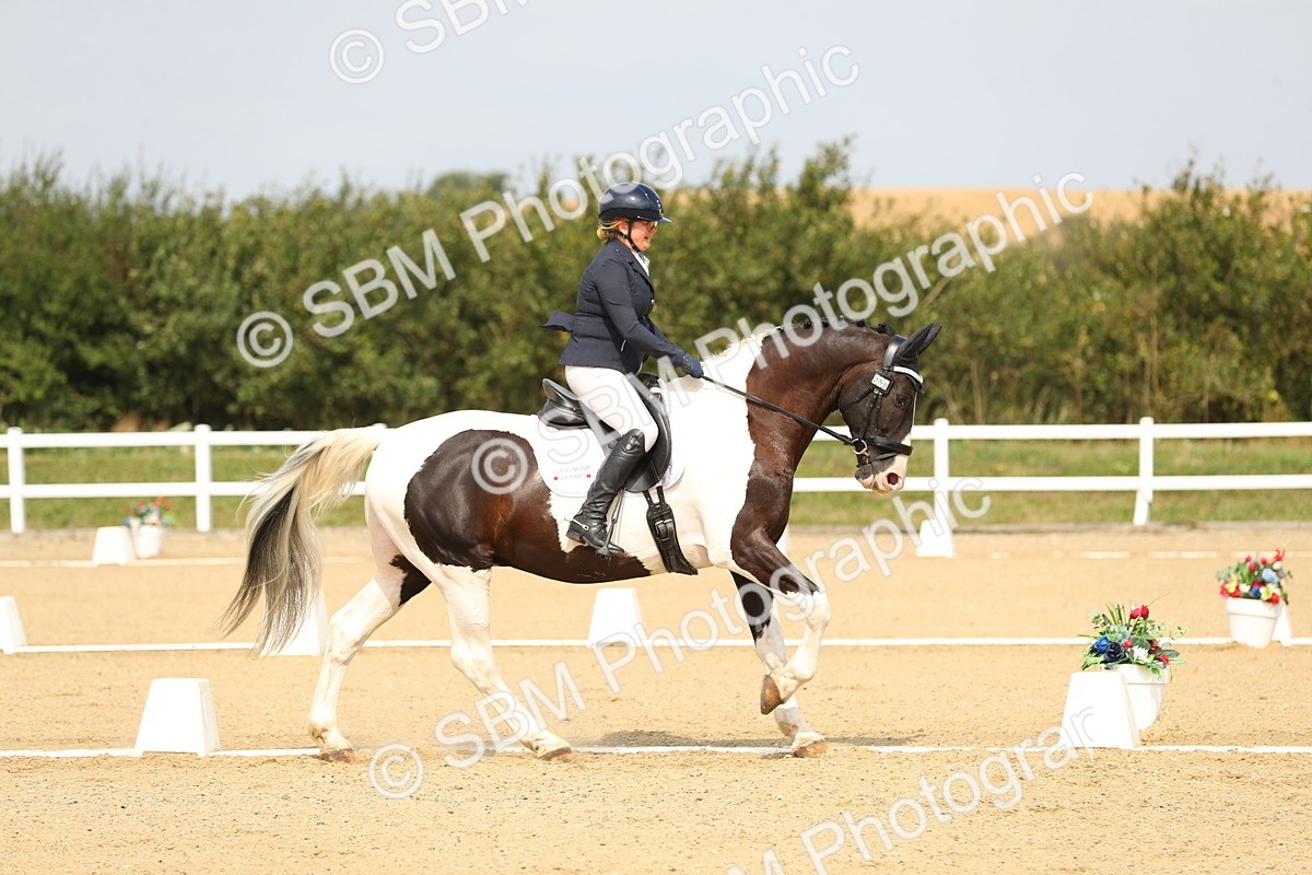 SBM_017272 - Class 13 - Novice 23 - 13.31-14.13