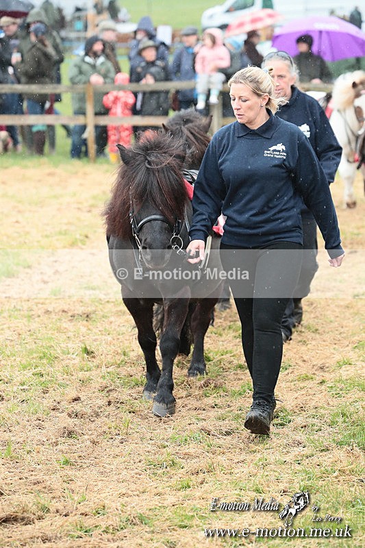 SHETPR 210425 32 - Shetland Ponies Paxford Races 21/04/25