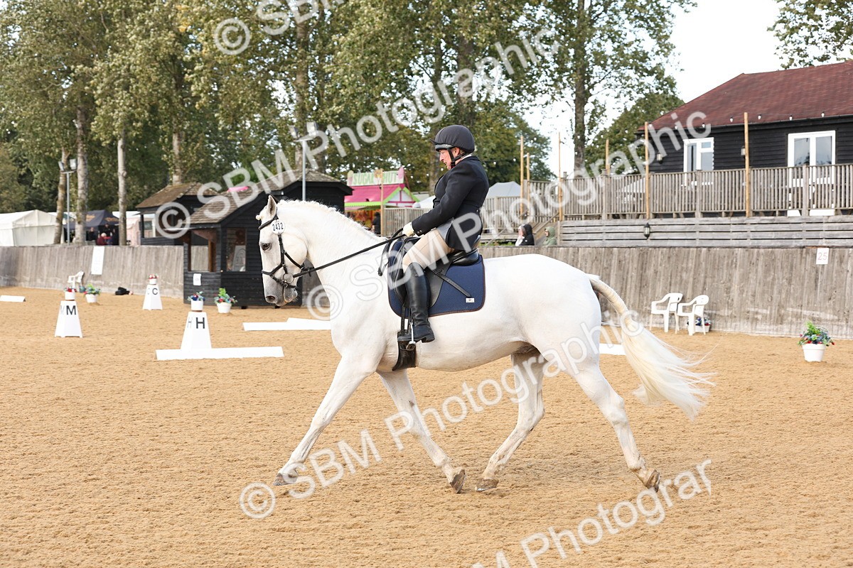 SBM_28283 - D20 - Grand Tour Championship Elementary 3
