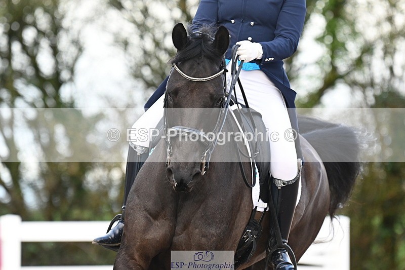 240218A-092236-05094 - 247-Fiona.Gair-BRS.Kingdom