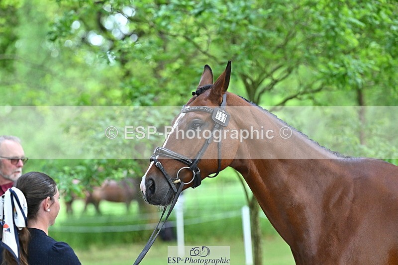 250521A-151001-00308 - B-352-Samantha.Lissington-MALIBU.TS