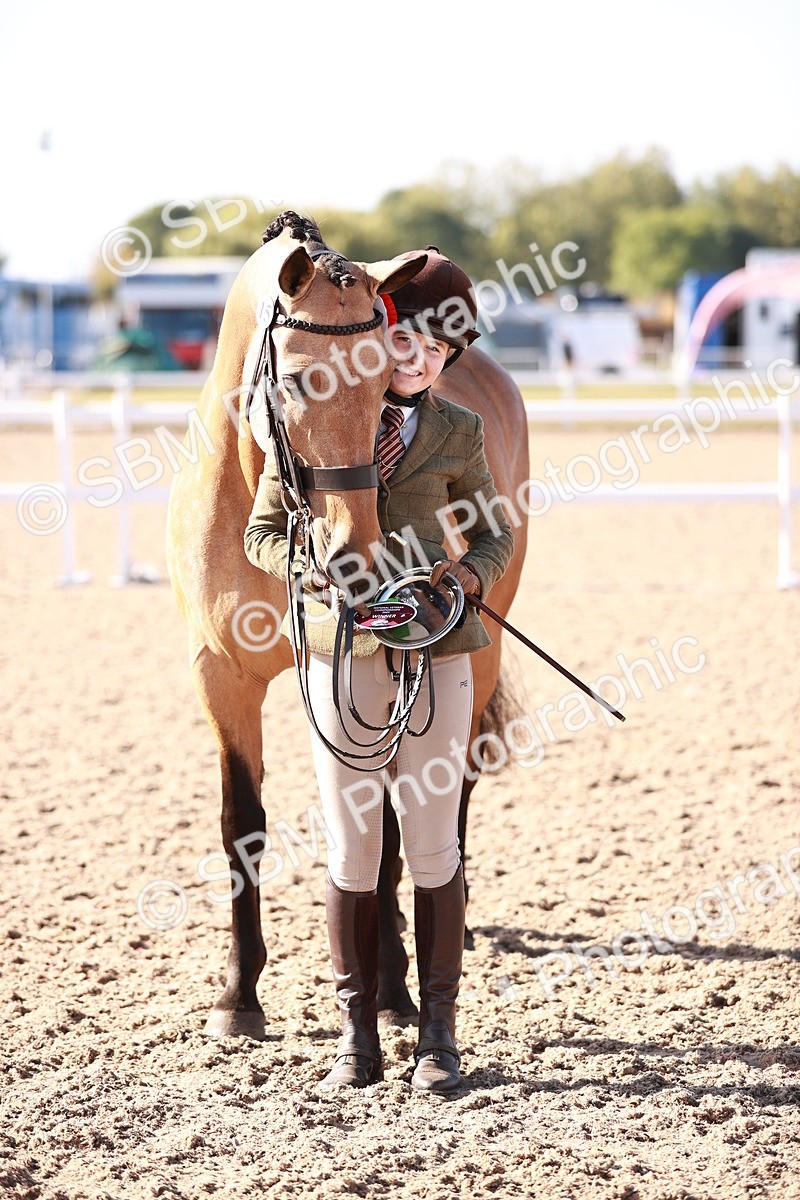 SBM_22083 - Class 703 - IH Coloured