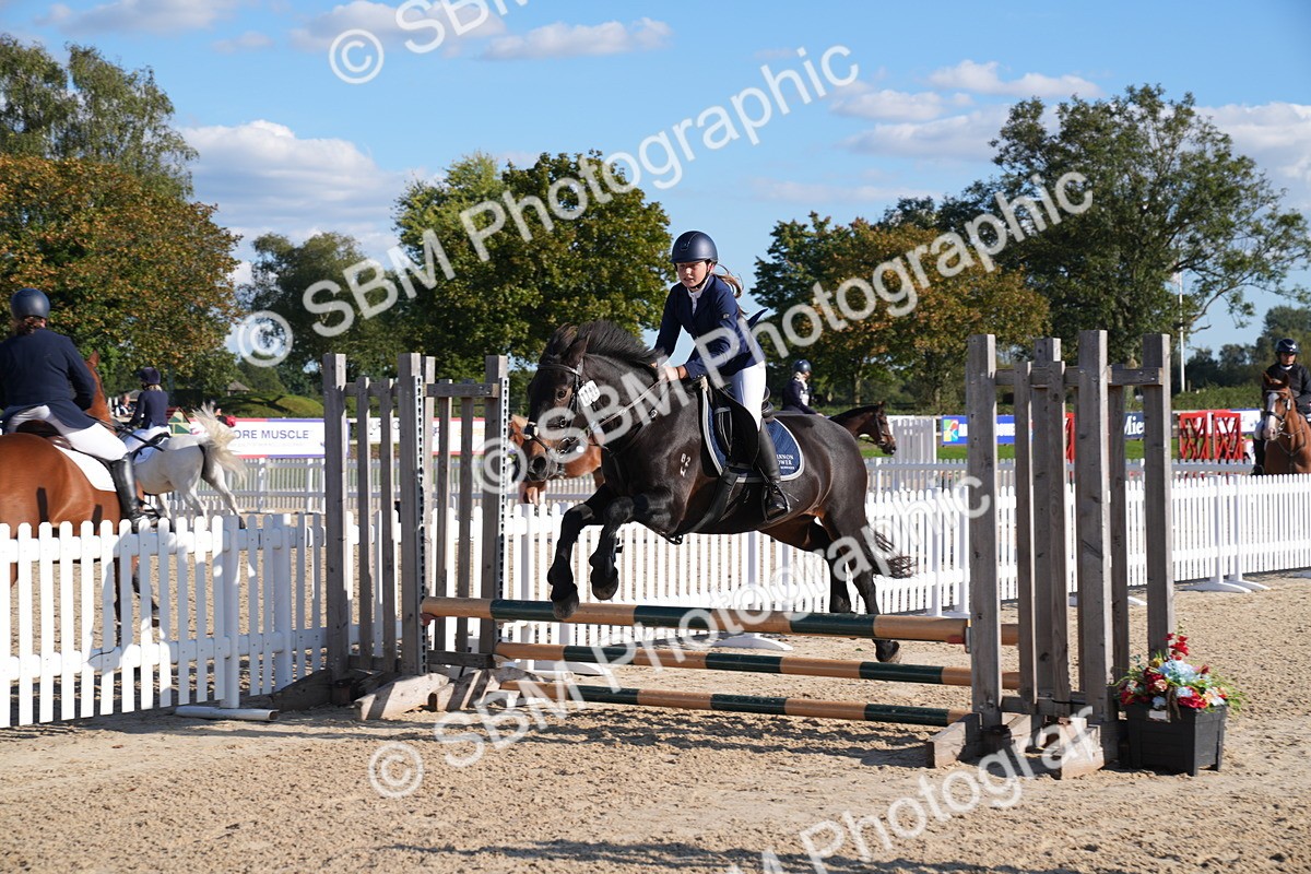 SBM_27976 - J43 - Super Speedy Scurry Open - 60cm