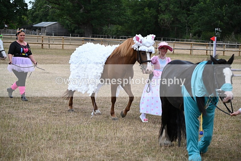 WJ6_8706 - Class 11 Fancy Dress