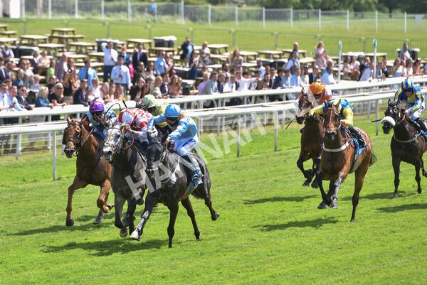 yr11062021r2-49 - Race 2 2.20pm Churchill Tyres Stakes