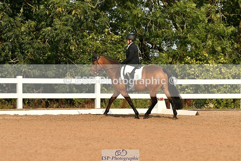 250817-093044-06949 - 049-Carolyn.GaleNewtown.Ringo