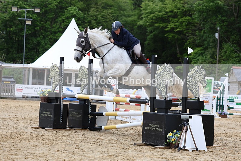 3E7A6070 - Class 4: Senior British Novice/90cm open