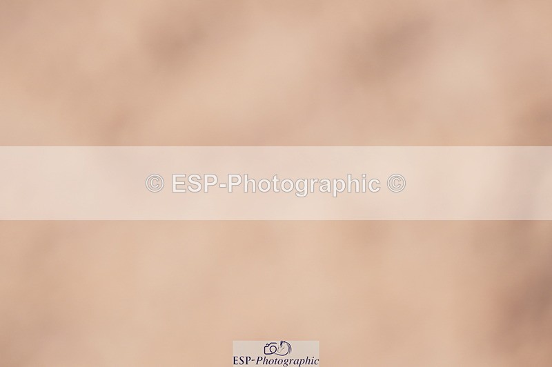 240728A-094602-08009 - Cls 25A Snr 1.05m